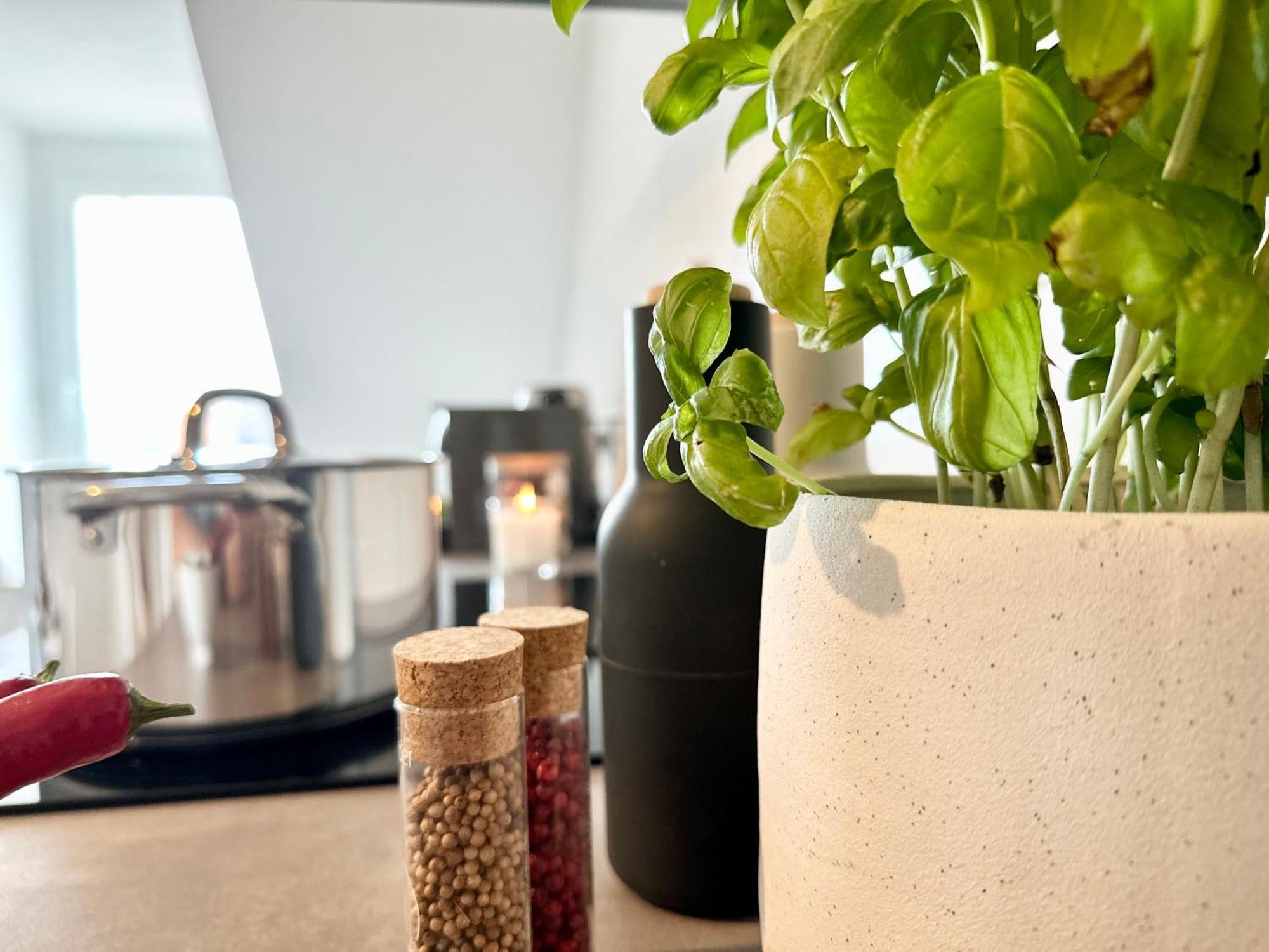 Mystay - Zentral - Design - Prime - Kueche 海德堡 外观 照片